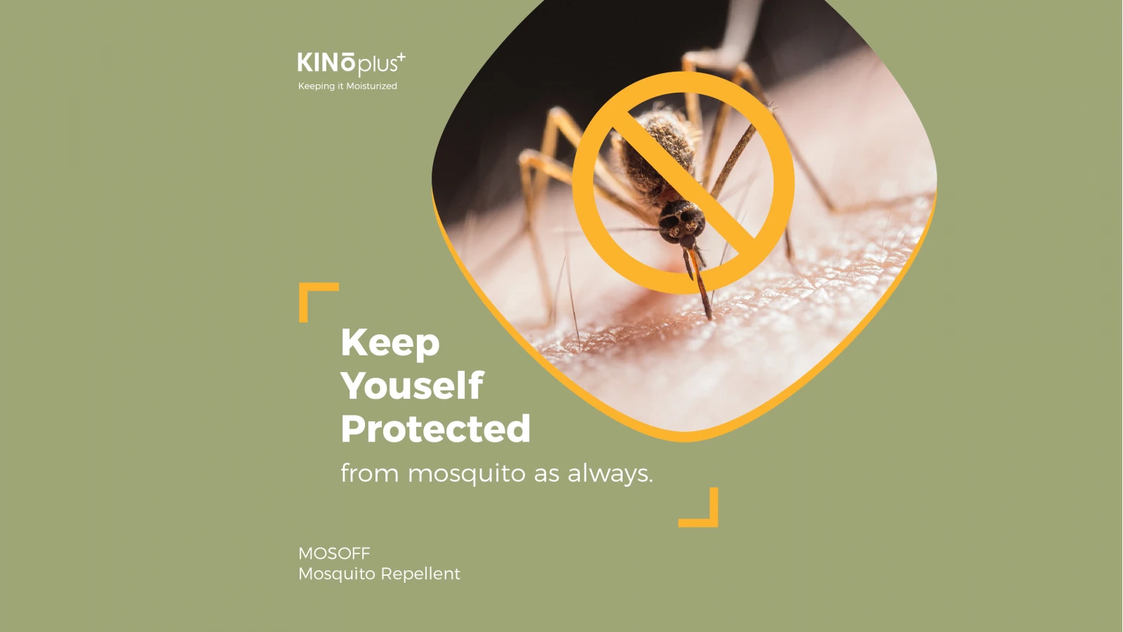 4 Easy & Simple Ways To Protect Yourself From Dengue